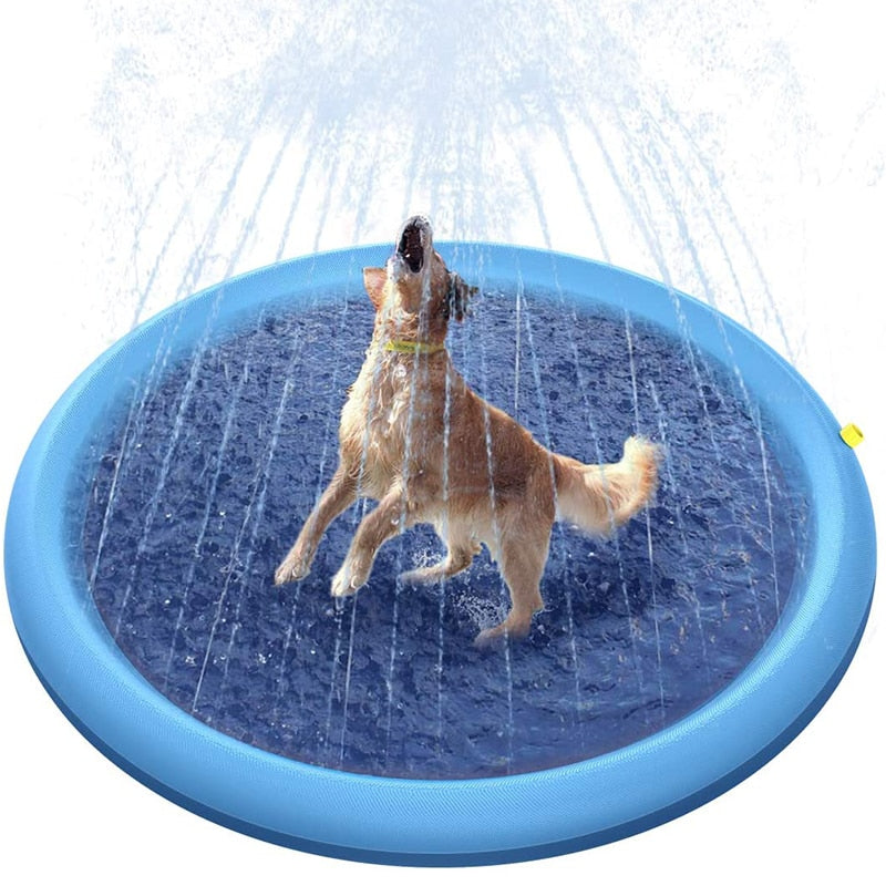Piscina Pet | SplashPaw - Brincadeira e Frescor Instantâneo