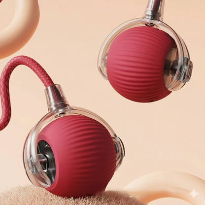 Bola Interativa para Gatos | PlayRoll - Diversão Ativa com Simplicidade