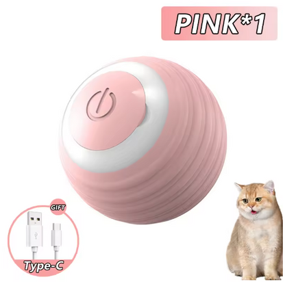 Bola Interativa para Gatos | PlayRoll - Diversão Ativa com Simplicidade