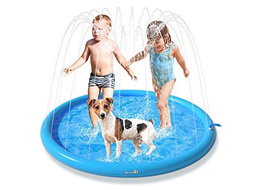 Piscina Pet | SplashPaw - Brincadeira e Frescor Instantâneo