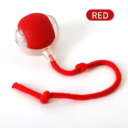 Bola Interativa para Gatos | PlayRoll - Diversão Ativa com Simplicidade